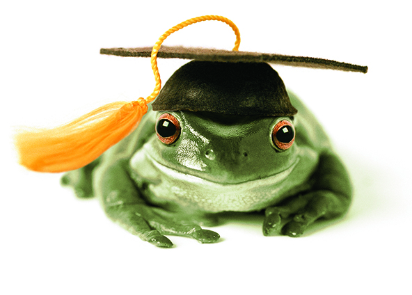 Graduation Card - Frog Graduate