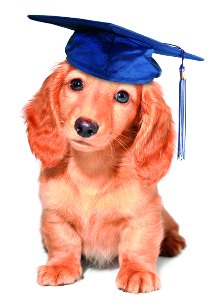 Graduation Card - Dog with Graduation Cap