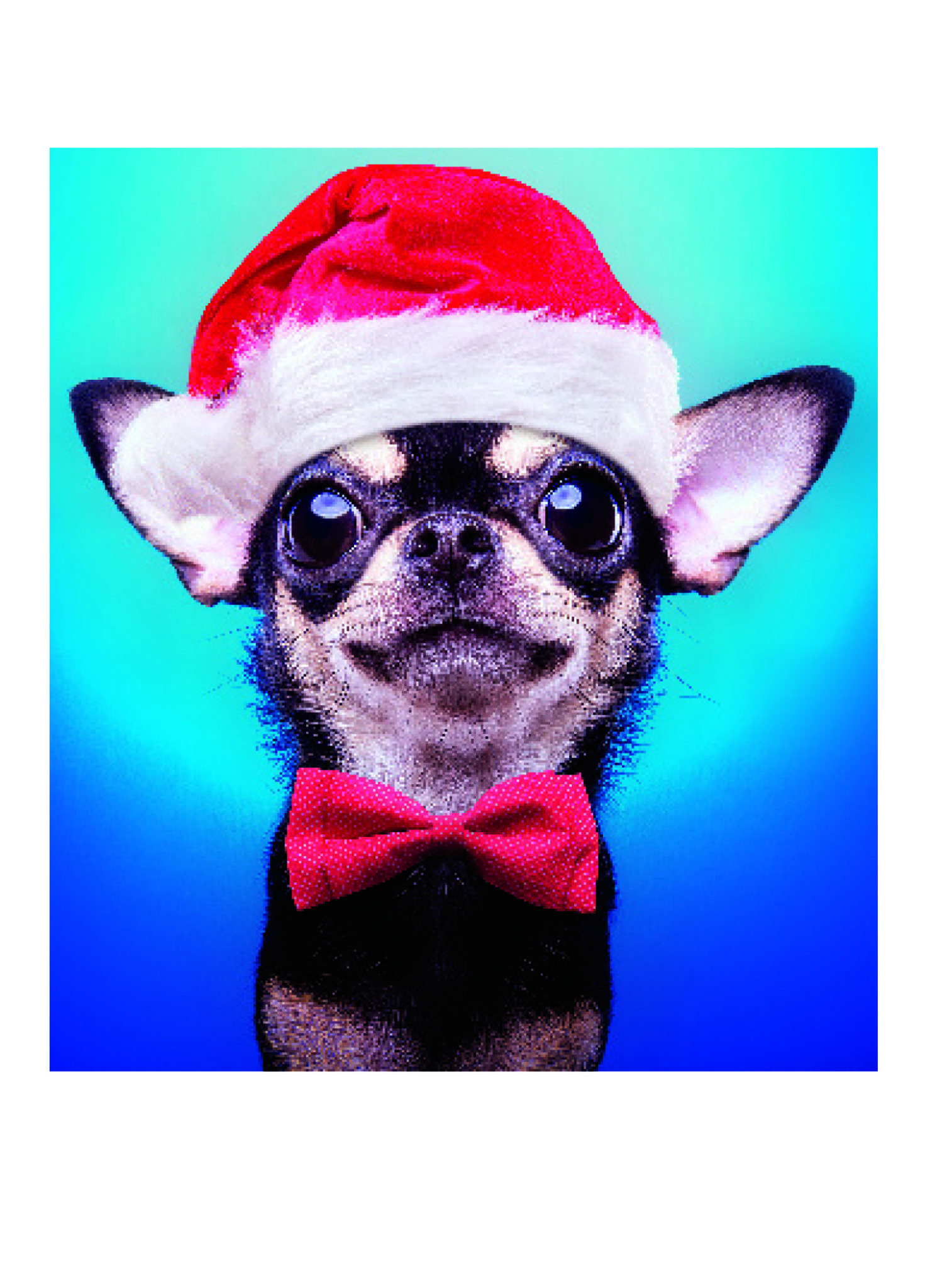 Chiwawa with a Christmas Hat - Northern Exposure Cards